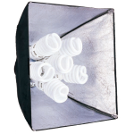 Falcon Eyes Fluorescent Studio Light (Pair)