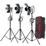 Pro 300w Fresnel Light Tungsten Continuous Light